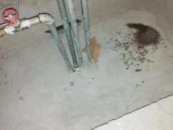 图木舒克卫生间测漏水价格明细