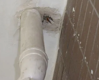 图木舒克漏水检测哪家好